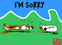 sorry