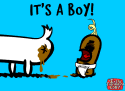 boy